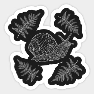 Snail with ferns (white) Sticker